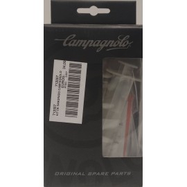 kit de sangrado Campagnolo